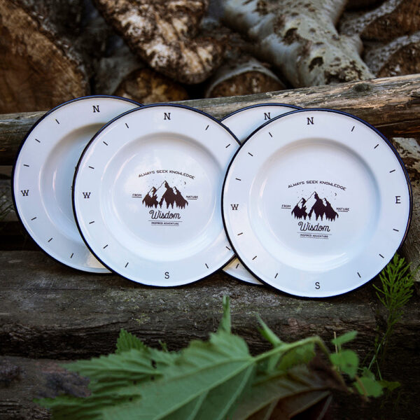 4 ENAMEL DINNER PLATES | WISDOM
