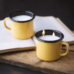 SOY CANDLE 12 OZ APRICOT MUG | PLAIN B.